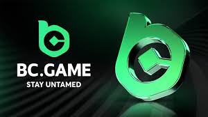 Understanding the Withdrawal Process on BC.Game Understanding the Withdrawal Process on BC.Game