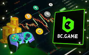 Understanding BC Game.vc KYC A Comprehensive Guide 1000555112